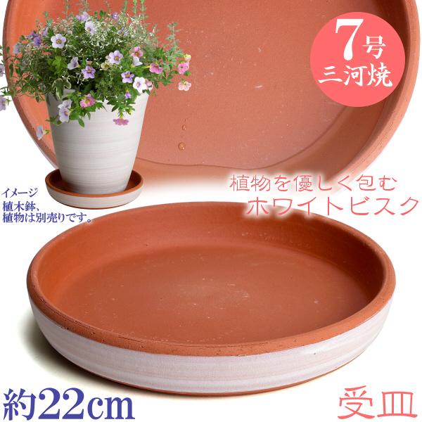 受け皿　植木鉢用　ソーサー　おしゃれ　陶器　サイズ　２２ｃｍ　安くて丈夫　受皿　７号　ホワイトビスク