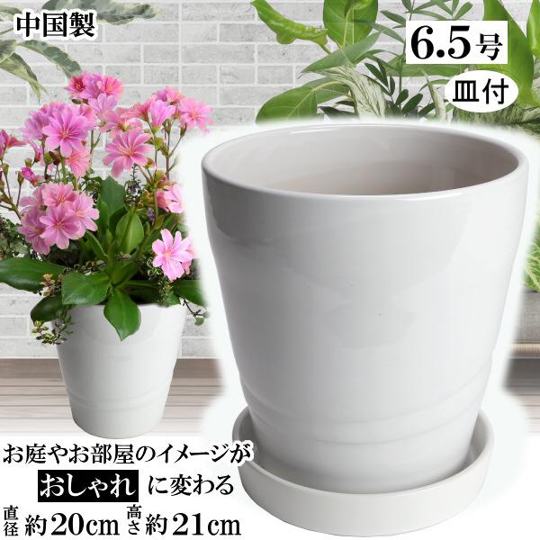 植木鉢 おしゃれ 安い 陶器 サイズ 20cm MBC19 6.5号 ホワイト 受皿付 室内 屋外 ...