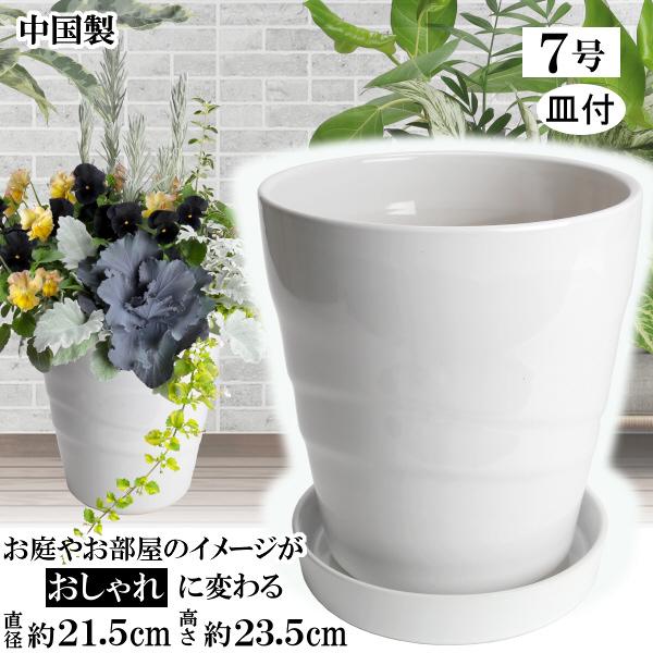 植木鉢 おしゃれ 安い 陶器 サイズ 21cm MBC22 7号 ホワイト 受皿付 室内 屋外 白 ...