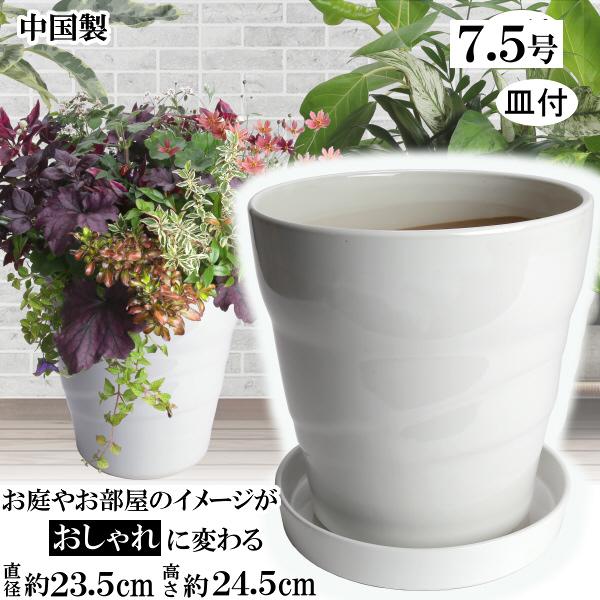 植木鉢 おしゃれ 安い 陶器 サイズ 23cm MBC24 7.5号 ホワイト 受皿付 室内 屋外 ...