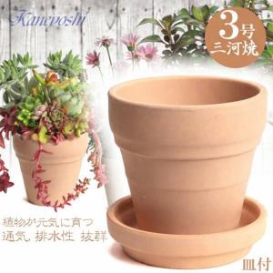 ラン科植物 陶器鉢入り 中型 植木鉢 陶器 素焼並ラン鉢 5号 おしゃれ サイズ 16.5cm 排水 通気 素焼