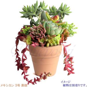 植木鉢 おしゃれ 安い 陶器 サイズ 10cm...の詳細画像5