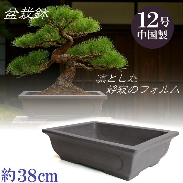 ウ泥長角 12号 中国製 盆栽 植木鉢 陶器 おしゃれ サイズ 38cm