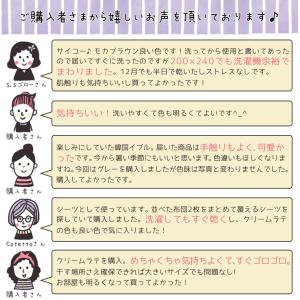 イブル クラウド柄 約200×240cm 中綿...の詳細画像3