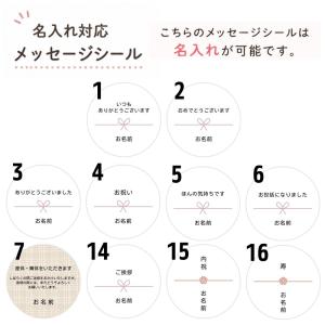 プチギフト スターバックス コーヒー × ビス...の詳細画像5