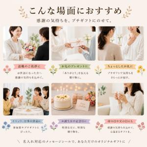 プチギフト スターバックス コーヒー × ビス...の詳細画像2