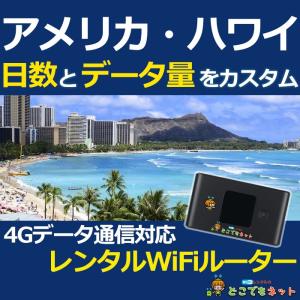 アメリカ ハワイ 周遊 カスタム プラン 海外 WiFi レンタル  モバイル Wi-Fi ルーター 借出 旅行 出張　｜docodemo