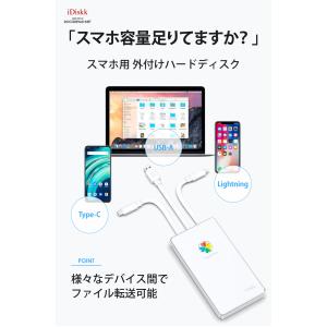 iDiskk Apple認証 MFI 認証 2...の詳細画像3
