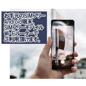 日本 プリペイド SIMカード SoftBan...の詳細画像1