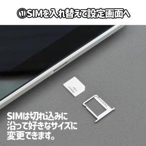 日本 プリペイド SIMカード SoftBan...の詳細画像2
