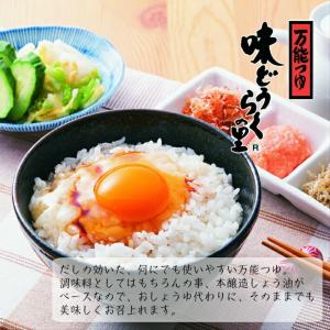 万能つゆ 味どうらくの里 1.8リットル (6...の詳細画像1
