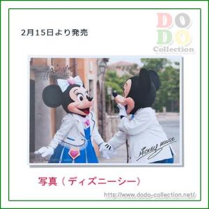 写真　フォトグラフ　ミッキー＆ミニー　実写　東京ディズニーシー　限定