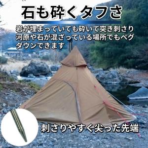 チタンペグ ペグ チタン テントペグ 24cm...の詳細画像3