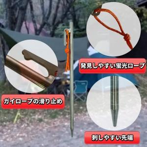 チタンペグ ペグ チタン テントペグ 24cm...の詳細画像4