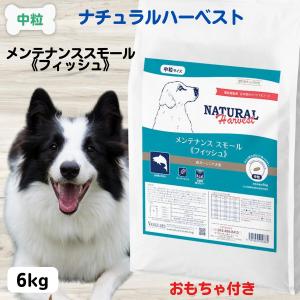 メンテナンス スモール ラム 犬用 ( 1.1kg )/ ナチュラルハーベスト