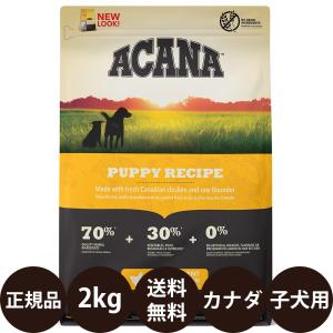 ACANA（アカナ） ワイルドプレーリードッグ 11.4kg : 豊富な品揃え