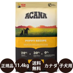 ACANA（アカナ） パピースモールブリードレシピ 6kg : 豊富な品揃え