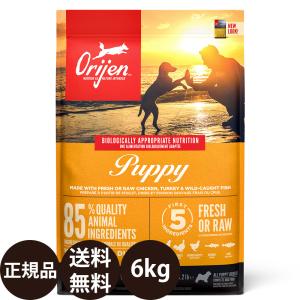 ORIJEN（オリジン） オリジンオリジナル 6kg : 豊富な品揃えペット用品