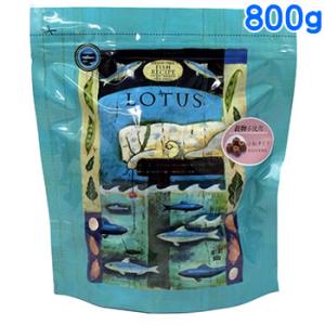 ロータス グレインフリー フィッシュレシピ 小粒 800g 賞味期限:2026/9/26