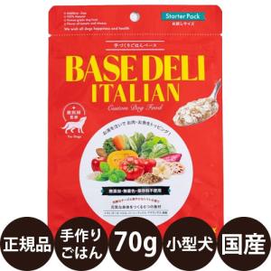 【２袋セット】ベースデリ　ソイミルク　５００g×１袋　BASE DELI SOY ホワイトフォックス 手づくりごはんベース BASE DELI SOY MILK 500g