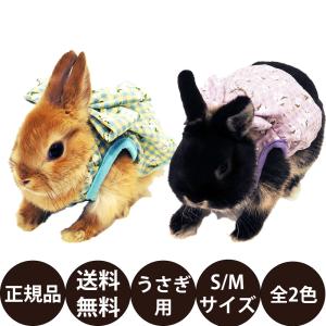 レインボー rabbit ランランハーネスウエア チェック柄ドレス S M ( ラベンダー ブルー )｜dog-penet