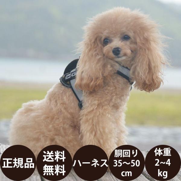 GEWALK ジウォーク ワイルド エクスプローラー コーデュラ エコ LGE121 XS オレンジ...