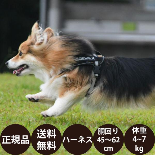 GEWALK ジウォーク ワイルド エクスプローラー コーデュラ エコ LGE121 S オレンジ ...