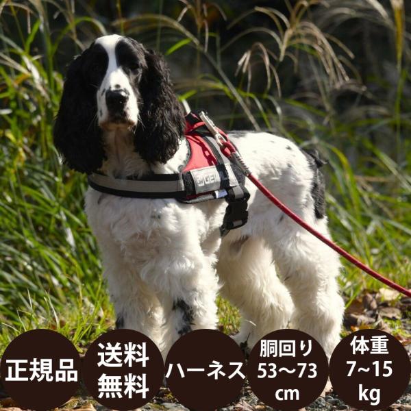 GEWALK ジウォーク ワイルド エクスプローラー コーデュラ エコ LGE121 M オレンジ ...