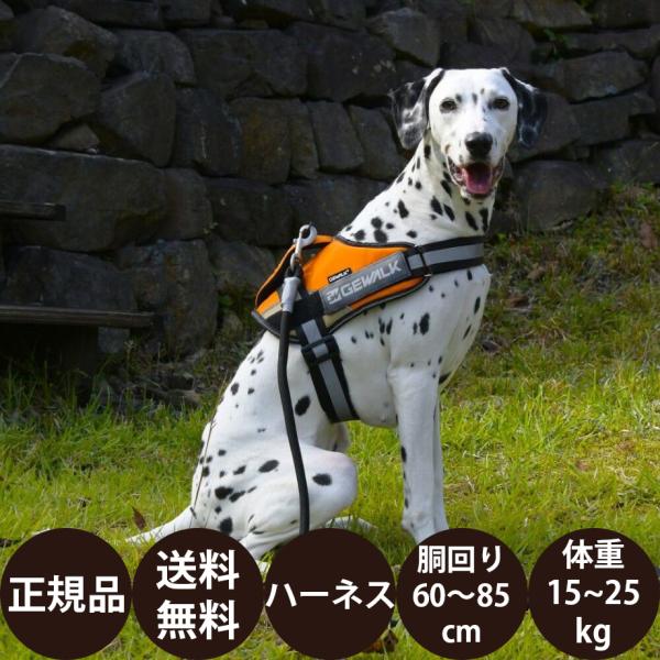 GEWALK ジウォーク ワイルド エクスプローラー コーデュラ エコ LGE121 L オレンジ ...