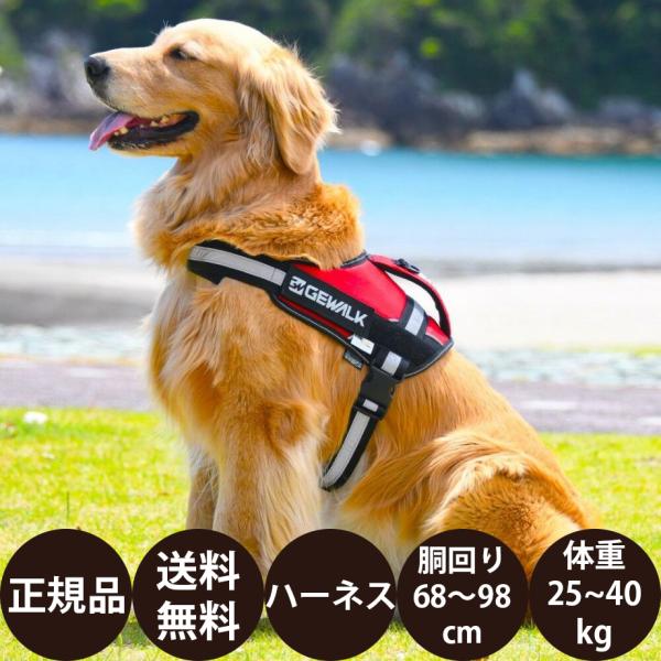 GEWALK ジウォーク ワイルド エクスプローラー コーデュラ エコ LGE121 XL オレンジ...