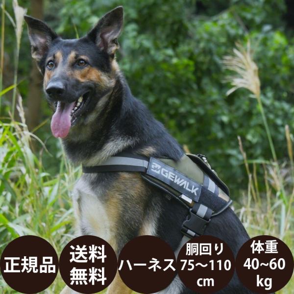 GEWALK ジウォーク ワイルド エクスプローラー コーデュラ エコ LGE121 2XL オレン...