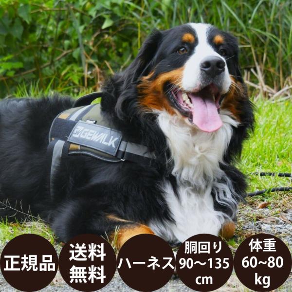 GEWALK ジウォーク ワイルド エクスプローラー コーデュラ エコ LGE121 3XL オレン...