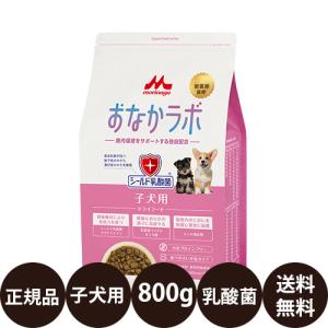 Super Gold 森乳サンワールド スーパーゴールド フィッシュ＆ポテト