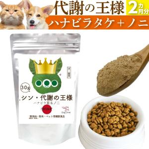 120粒】【あすつく】アンチノールプラス アンチノールplus 犬用