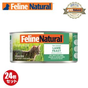 Feline Natural チキン & ラム ドライキャットフード 800g フィー