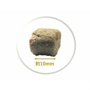K9ナチュラル フリーズドライ 犬用 チキント...の詳細画像2