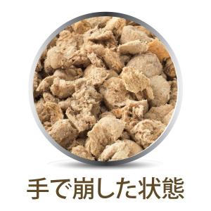 2袋 フィーラインナチュラル 猫用 フリーズド...の詳細画像2
