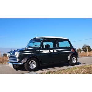 ローバーミニ/クラシックミニ エアスクープ(ぞうの耳) 現行車