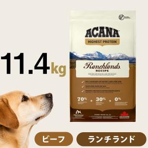ORIJEN（オリジン） パピー 6kg (正規品) 幼犬用 総合栄養食