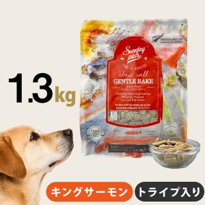 テラカニス パピー チキンとカボチャ 400g : ペット用品のPETWILL