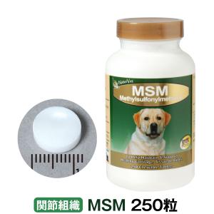 (選べるプレゼント付き) ネイチャーベット MSM 250粒｜dogparadise-2