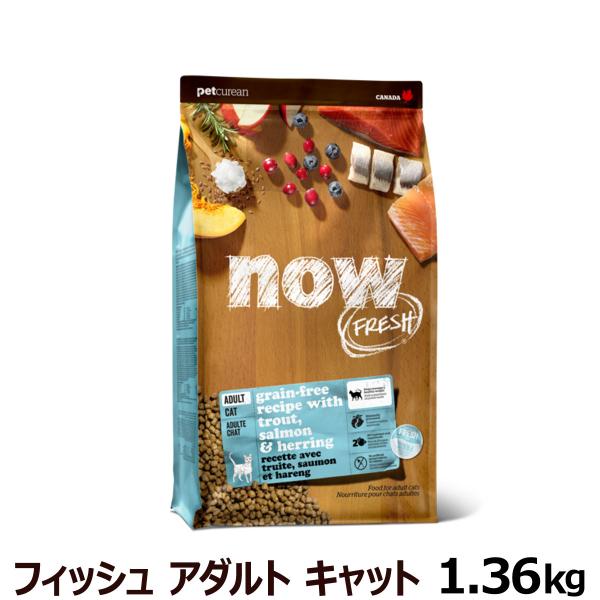 ナウ フレッシュ  フィッシュアダルトキャット1.36kg 猫 キャットフード グレインフリー 成猫...