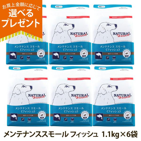 （順次パッケージ変更）(選べるプレゼント付き)ナチュラルハーベスト メンテナンススモール フィッシュ...
