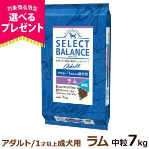 (選べるプレゼント付き)セレクトバランス アダルト ラム 中粒 7kg 成犬 羊肉 １才以上成犬 犬 ドッグフードドライ