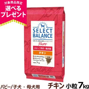 SELECT BALANCE セレクトバランス パピー チキン 子犬・母犬用 小粒