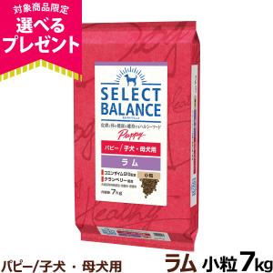 パピーラム3kg×2個 SELECT BALANCE セレクトバランス パピー ラム 小粒 子犬・母犬用 3Kg