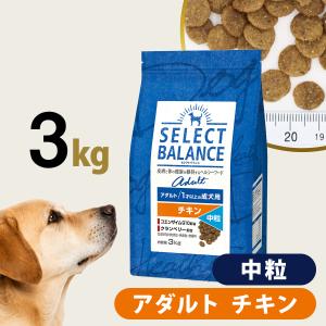 ベッツ・チョイス・ジャパン セレクトバランス ラム アダルト 成犬