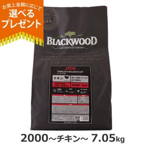BLACKWOOD（ブラックウッド） ドッグフード 3000 20kg ラム肉 ポイント