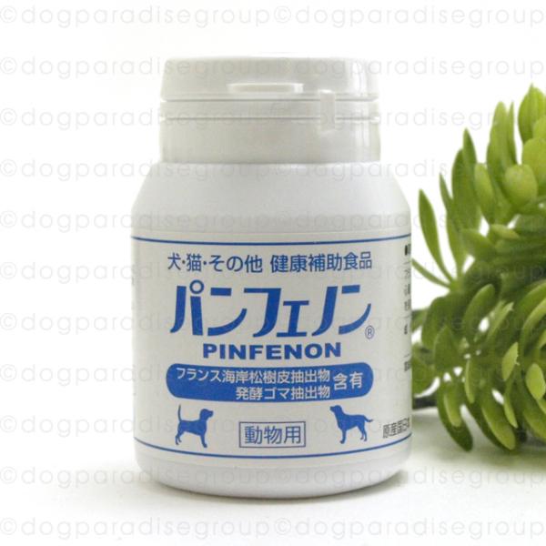 パンフェノン120粒 サプリ 犬 猫 ペット サプリメント ドッグ キャット さぷり 栄養 健康 補...
