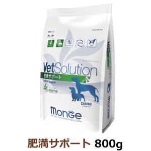 アウトレット☆賞味期限2026年9月11日】VetSolution 犬用 皮膚サポート